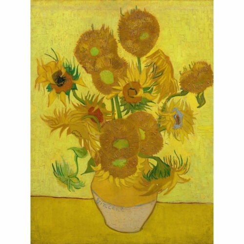 Obraz - reprodukce 50x70 cm Sunflowers