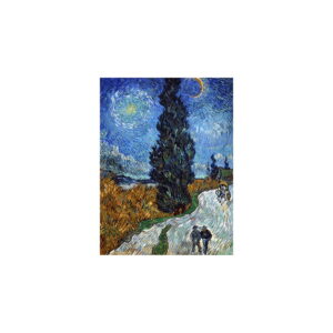 Reprodukce obrazu Vincent van Gogh - Country Road in Provence by Night